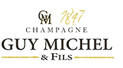 Guy Michel