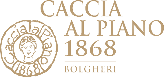 Caccia al Piano