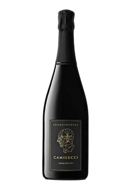 Bottiglia di Franciacorta Dosaggio Zero Ammonites di Stefano Camilucci