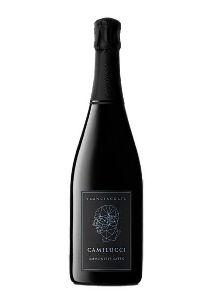 Bottiglia di Franciacorta Satèn Ammonites di Stefano Camilucci